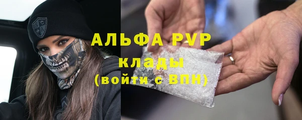 PSILOCYBIN Аркадак