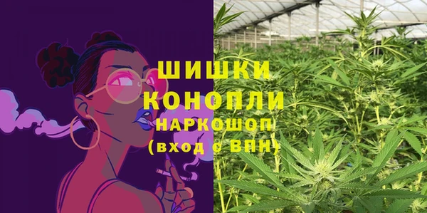 PSILOCYBIN Аркадак