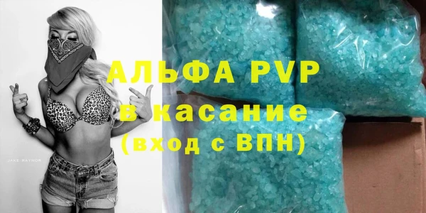 PSILOCYBIN Аркадак