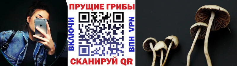 гидра рабочий сайт  Мензелинск  Галлюциногенные грибы MAGIC MUSHROOMS 